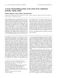 Báo cáo khoa học:  A novel retinol-binding protein in the retina of the swallowtail butterﬂy, Papilio xuthus