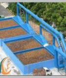 Xử lý khí thải bằng công nghệ biofilter giá rẻ, hiệu quả với giá thể vỏ dừa