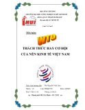 WTO: Thách Thức và Cơ Hội cho Nền Kinh Tế Việt Nam - Tiểu Luận Địa Lý Kinh Tế