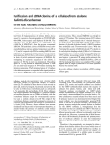 Báo cáo khoa học:  Puriﬁcation and cDNA cloning of a cellulase from abalone Haliotis discus hannai