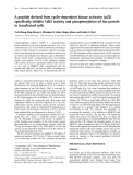 Báo cáo khoa học:  A peptide derived from cyclin-dependent kinase activator (p35) speciﬁcally inhibits Cdk5 activity and phosphorylation of tau protein in transfected cells