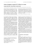 Báo cáo khoa học:  Action of palytoxin on apical H+/K+-ATPase in rat colon