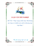 Chiến lược Marketing: Thực trạng tại công ty cổ phần sản xuất và thương mại Việt Phát - Luận văn tốt nghiệp