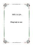 TIỂU LUẬN:  Pháp luật tư sản