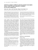Báo cáo Y học: Induction of chicken ovalbumin upstream promoter-transcription factor I (COUP-TFI ) gene expression is mediated by ETS factor binding sites