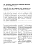 Báo cáo Y học: Cold adaptation of xylose isomerase from Thermus thermophilus through random PCR mutagenesis Gene cloning and protein characterization