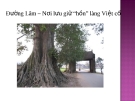 Đường Lâm – Nơi lưu giữ “hồn” làng Việt cổ