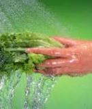 HỆ THỐNG QUẢN LÍ CHẤT LƯỢNG  THỰC PHẨM THEO   HACCP