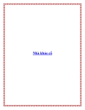 Nhà khảo cổ