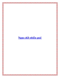 Ngựa chết nhiều quá!