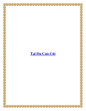 Tại Du Can Cút