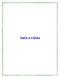 Người vợ lý tưởng