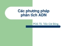 Các phương pháp phân tích ADN: Tổng hợp và đánh giá chi tiết