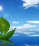 Chân lý là gì? - Giải nghĩa chân lý chuẩn nhất