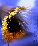 Truyền Sóng Trong Cáp Quang: Tìm Hiểu Chi Tiết và Ứng Dụng