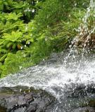 Tìm hiểu bài Tình Cảnh Lẻ Loi Của Người Chinh Phụ chi tiết, chuẩn nhất