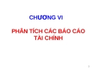 Phân tích báo cáo tài chính: Chương Vi phân tích chi tiết