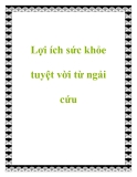 Lợi ích sức khỏe tuyệt vời từ ngải cứu.Ngải cứu aLợi ích sức khỏe tuyệt vời từ ngải cứucó mặt trong các món ăn ưa thích của chị em như món gà tần, trứng ngải cứu, lẩu gà... nhưng ít ai đã biết những lợi ích sức khỏe thiết thực mà ngải cứu mang lại. 1. Cây ngải cứu có chứa glucose, absinthine
