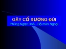 Bài giảng gãy cổ xương đùi (Phùng Ngọc Hòa) chuẩn nhất