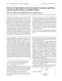 Báo cáo Y học:  The role of hydrophobic active-site residues in substrate speciﬁcity and acyl transfer activity of penicillin acylase