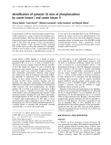 Báo cáo Y học: Identiﬁcation of syntaxin-1A sites of phosphorylation by casein kinase I and casein kinase II