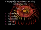 Công nghiệp hóa hiện đại hóa nông nghiệp nông thôn