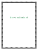 Bảo vệ môi mùa hè