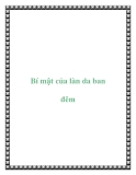 Bí mật của làn da ban đêm