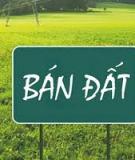 Quy trình môi giới bất động sản: Chuyên đề chuẩn nhất