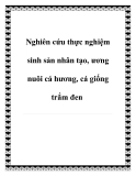 Nghiên cứu thực nghiệm sinh sản nhân tạo và ương nuôi cá hương, cá giống trắm đen