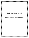 Sinh sản nhân tạo và nuôi thương phẩm cá cóc hiệu quả nhất