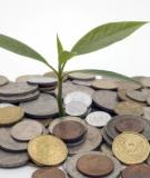 Tài chính công: Nhập môn (Hướng dẫn chi tiết)