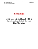 Tiểu luận: Môi trường văn hoá Brazil – Mỹ và Sự ảnh hưởng văn hoá đến hoạt động Marketing