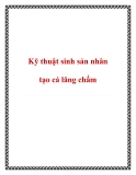 Kỹ thuật sinh sản nhân tạo cá lăng chấm: Hướng dẫn chi tiết