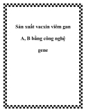 Sản xuất vacxin viêm gan A, B bằng công nghệ gene [Mới nhất]