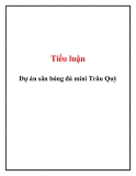 Tiểu luận: Dự án sân bóng đá mini Trâu Quỳ