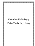 Chăm Sóc Và Sử Dụng Phân, Thuốc Quýt Hồng