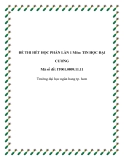 Đề thi Tin học đại cương: Tổng hợp đề thi hết học phần lần 1