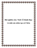 Nuôi vỗ thành thục và sinh sản nhân tạo cá Chẽm: Tiểu luận chi tiết