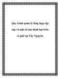 Quy trình quản lý tổng hợp rệp sáp và một số sâu bệnh hại trên cà phê tại Tây Nguyên
