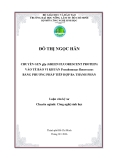 Chuyển Gen GFP vào Tế Bào Vi Khuẩn Pseudomonas fluorescens: Phương Pháp Tiếp Hợp Ba Thành Phần