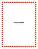 Chép phù điêu