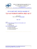 Sổ tay kiến thức thương mại điện tử: Tại sao Website không hiệu quả?