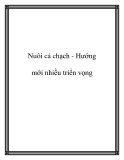 Nuôi cá chạch - Hướng mới nhiều triển vọng