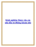 Kinh nghiệm Slater cho nhà đầu tư chứng khoán nhỏ: Hướng dẫn đầu tư hiệu quả