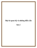 Đại từ quan hệ và những điều cần lưu ý