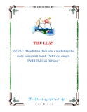 Hoạch định chiến lược e marketing cho ý tưởng kinh doanh TMĐT của công ty TNHH Thế Giới Di Động: Tiểu luận