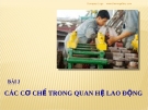 Các cơ chế trong quan hệ lao động: Bài 3