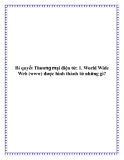 Bí quyết Thương mại điện tử World Wide Web: Mẹo và chiến lược