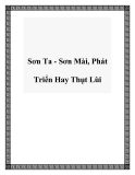Sơn Ta - Sơn Mài: Thực trạng phát triển và tương lai